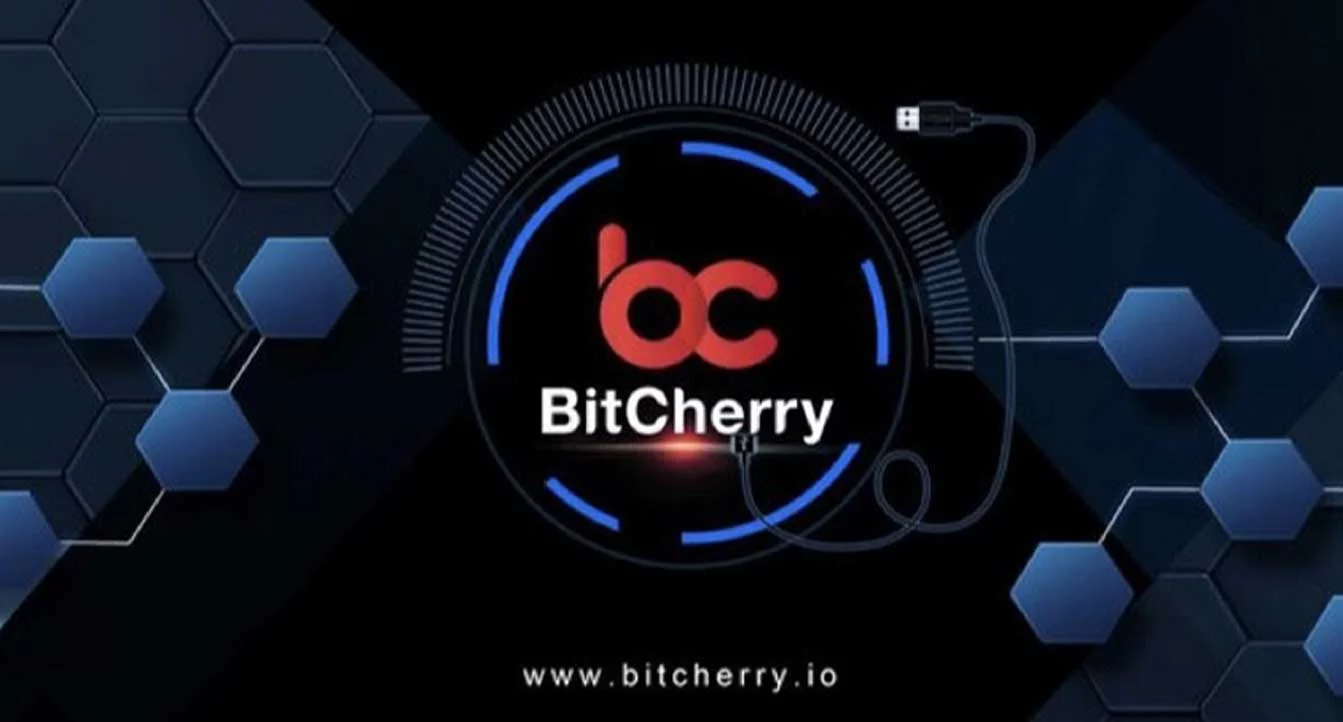 BitCherry Membangun Ekosistem Bisnis Terdistribusi dan Terpercaya