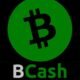 Salah Satu Penambang BCash Capai Hashrate Lebih Dari 50 Persen