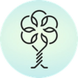 winding-tree