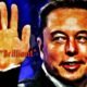 Bitcoin Brilian, Sebut Elon Musk